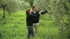 Italy: Olive Oil