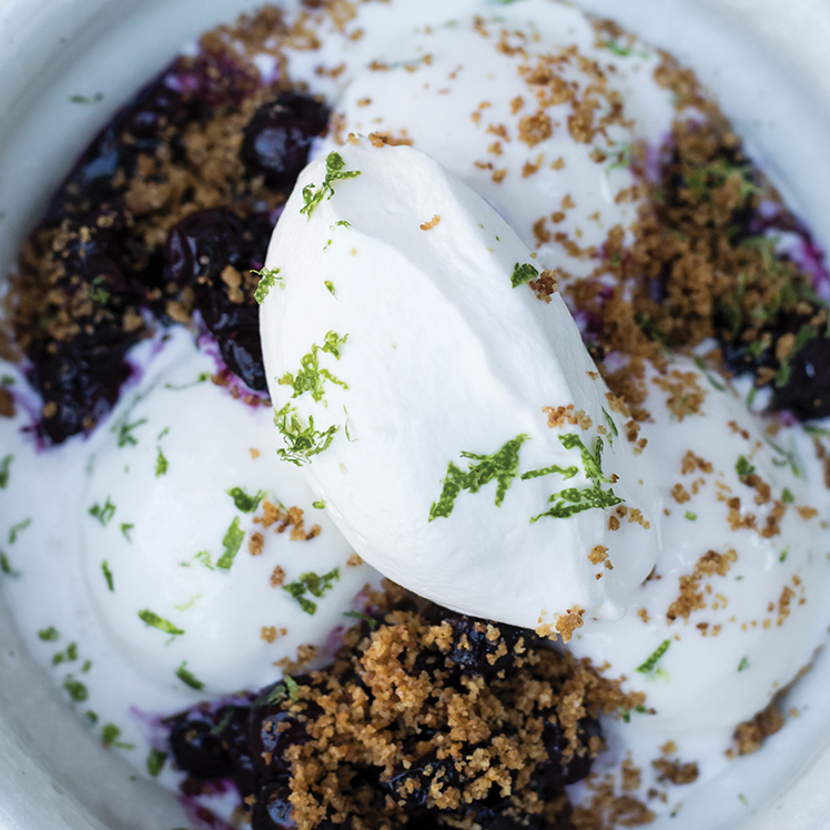 Blueberry Cheesecake Ice Cream Sundae