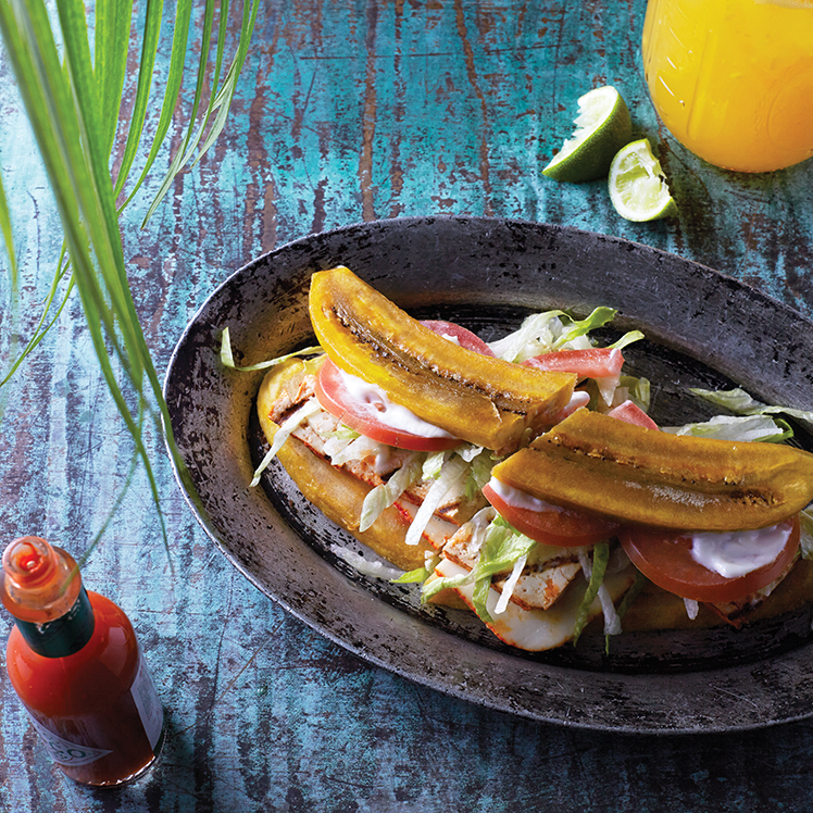 Humboldt Park Vegetarian Jibarito