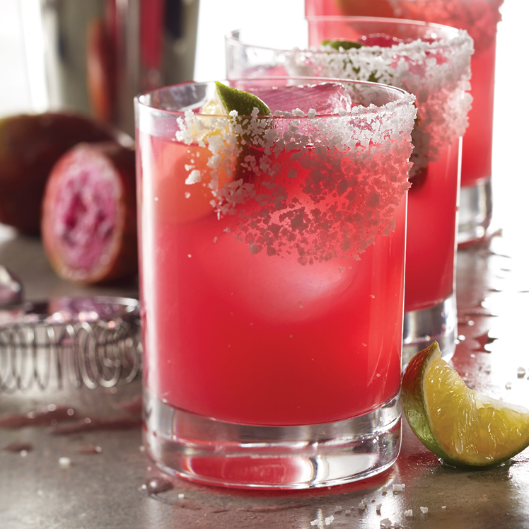 Prickly Pear Lemonade Margarita
