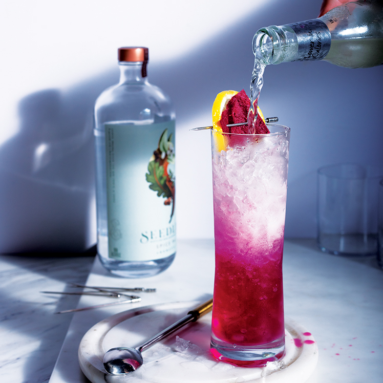 Non-Alcoholic Shrub Cocktail Recipe