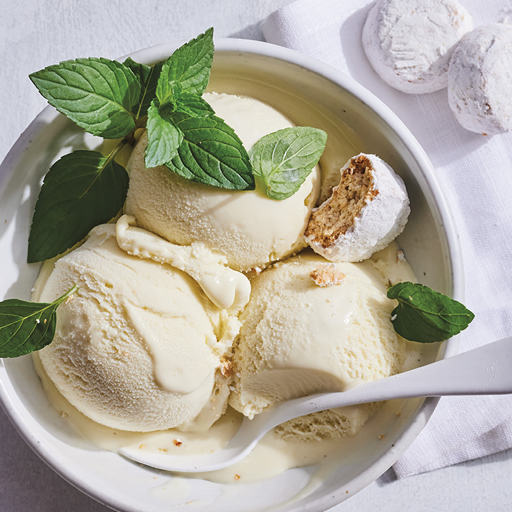 Chocolate Mint Herb Ice Cream