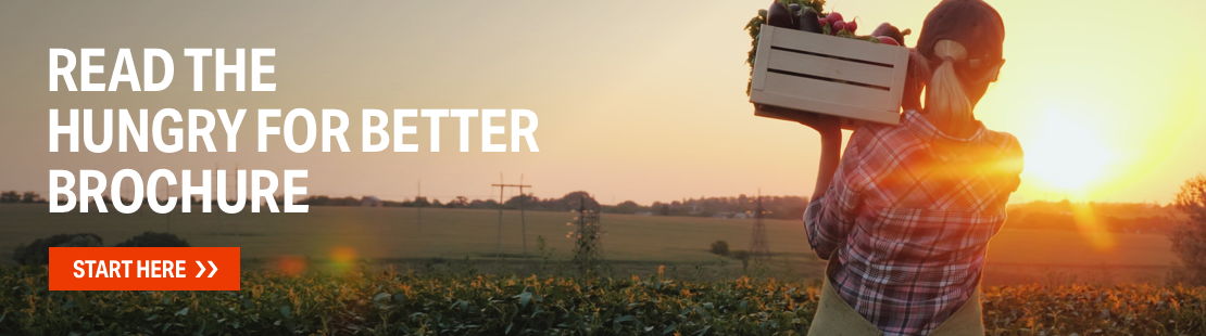 Hungry for Better PDF