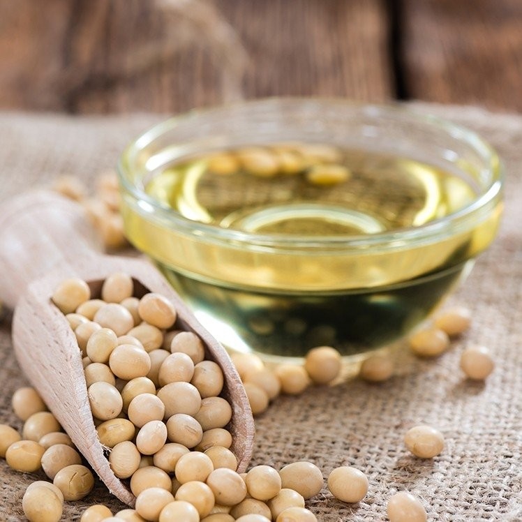 Non-GMO Sunflower Oil | US Foods